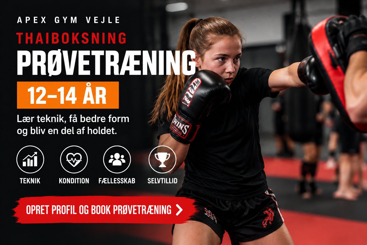 Apex Gym Vejle photo (Gym's own website)